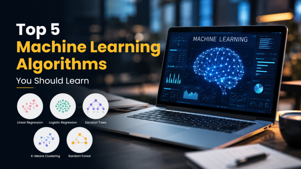Top 5 Machine Learning Algorithms